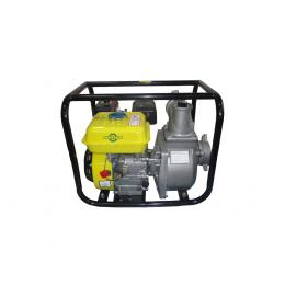 Насос бензиновый Mateus LT30CX